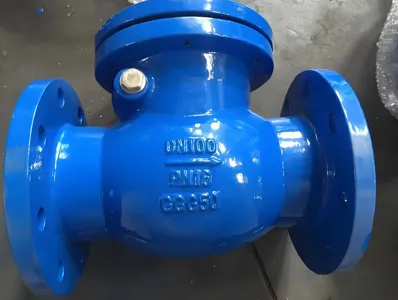 Поворотный обратный клапан из ковкого чугуна PN10